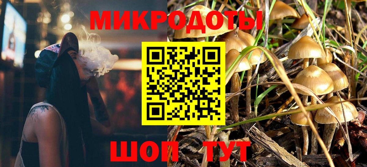 Галлюциногенные грибы мицелий  Вход с VPN  Камень-на-Оби 